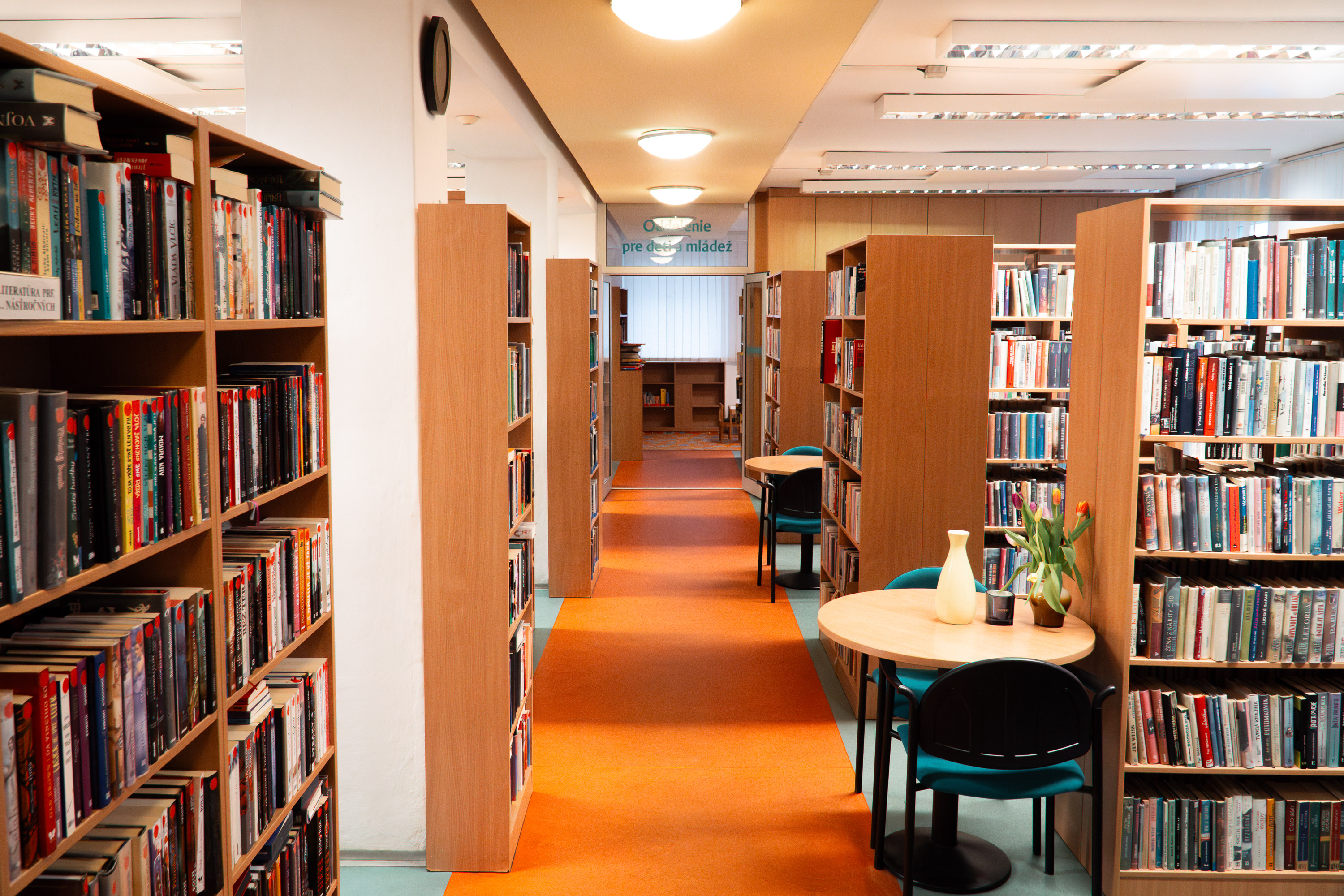 DSC06388-Enhanced-NR