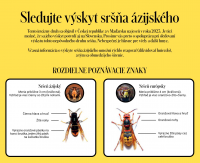 Sledujte výskyt sršňa ázijského vo vašom okolí