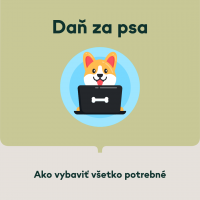 Ste majiteľom štvornohého miláčika? Poradíme vám ako vybaviť všetko potrebné.