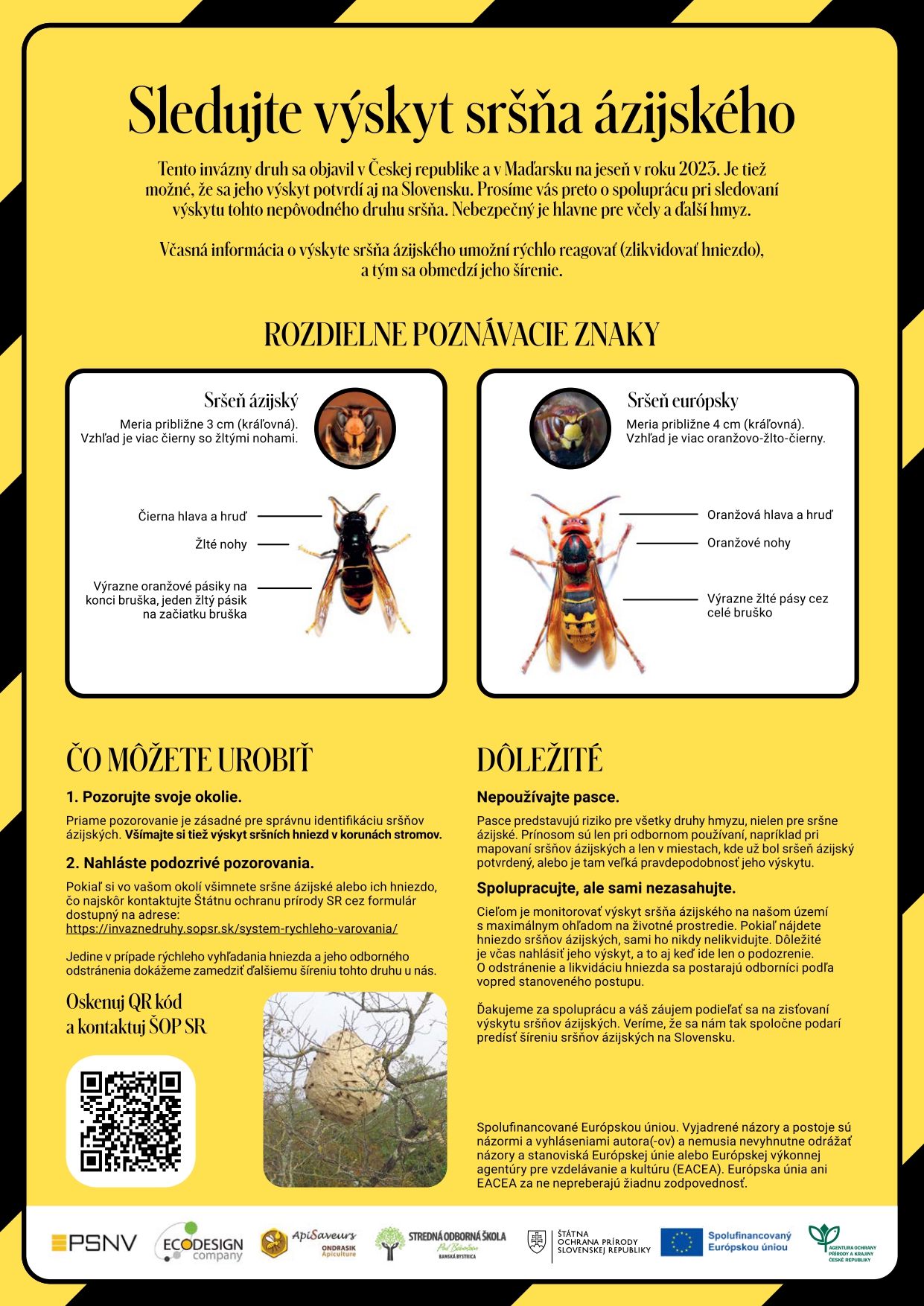 sršeň_azisjský_page-0001