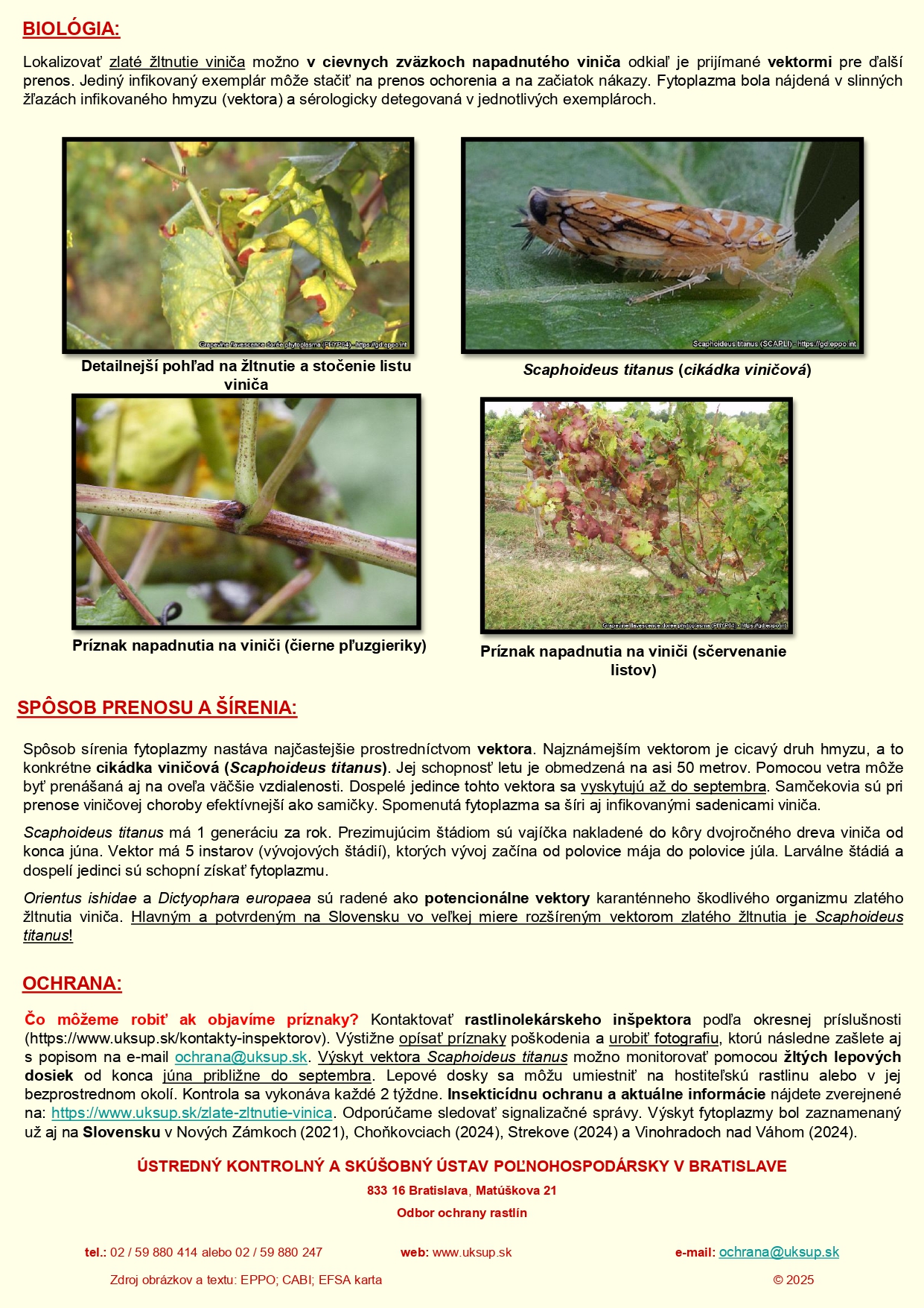 zlaté žltnutie viniča leták 2025 úplné texty_pages-to-jpg-0002