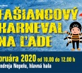 Veľká ľadová šou v Novom Meste pokračuje! Pozývame vás na jedinečný FAŠIANGOVÝ KARNEVAL NA ĽADE. Tentokrát priamo na hlavnú ľadovú plochu Zimného štadióna Ondreja Nepe…