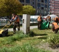 V mestskej časti Bratislava-Nové Mesto prebieha od 6. apríla pravidelné kosenie plôch verejnej zelene. Údržbu zelene zabezpečuje mestská časť prostredníctvom svojej pr…