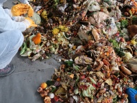 Do zberu kuchynského bioodpadu sa zapojilo viac ako 140 000 domácností Bratislavy