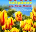 Aj túto jeseň mestská časť Bratislava – Nové Mesto rozdá svojim obyvateľom tisícky cibuliek tulipánov. Tí si nimi budú môcť skrášliť okolie svojich domovov.
V rámci a…