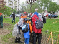 Zeleň Nového Mesta je bohatšia o nové stromy