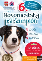 Kto sa stane šiestym psím šampiónom? V sobotu 10. júna vás pozývame na cvičisko na Turbínovej