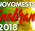 Mestská časť Bratislava – Nové Mesto a Farnosť Kráľovnej rodiny vás pozývajú na NOVOMESTSKÉ VINOBRANIE 2018, ktoré sme pre vás pripravili na piatok 7. septembra. 
Ako…