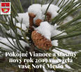 Milí Novomešťania,
prajeme vám pokojné vianočné sviatky a veľa pohody, zdravia a úspechov v novom roku 2019.
Vaša mestská časť Bratislava-Nové Mesto
K sviatočnej at…